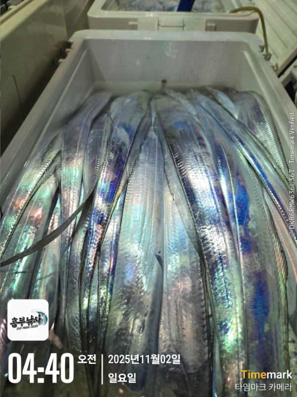 2025-11-02 04.40.57_.jpg