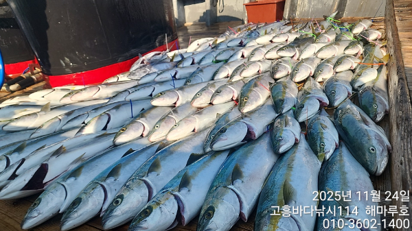 TimeVideo_20251124_112655 10명 (21).jpg