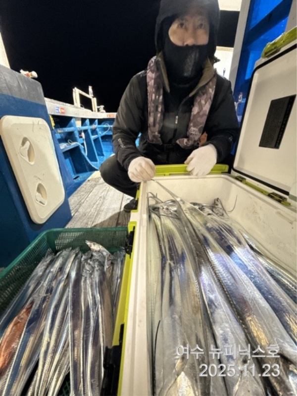 20911월23일갈치 (70).jpg