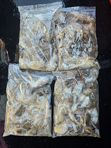 인천쭈꾸미낚시 (4).jpg