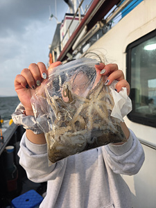 인천쭈꾸미낚시 (10).jpg