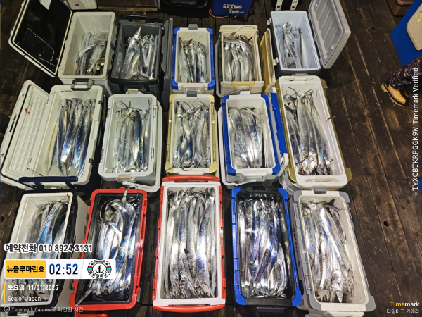 2025-11-01 02.52.19_Japan_(제목-뉴블루마린호)_(예약전화 010 8924 3131).jpg