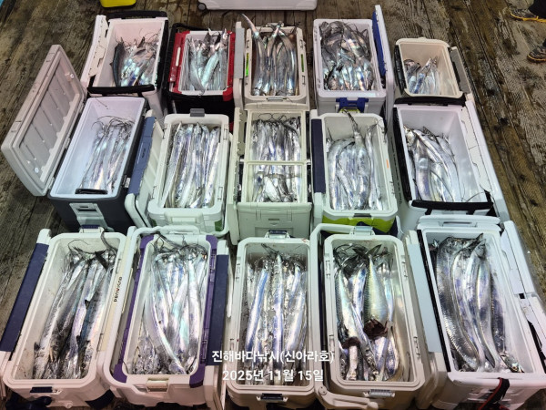 바다꾼낚시(신아라호)_사진_20251115_2.jpg