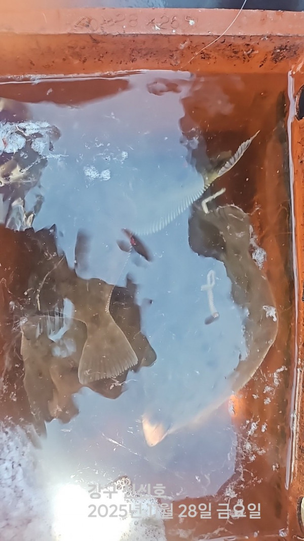 신신낚시 강구점 신신호_사진_20251128_6.jpg