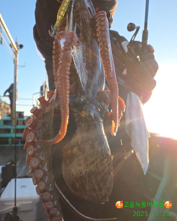 쎄븐피싱클럽(선상 버스출조전문)_사진_20251122_17.jpg