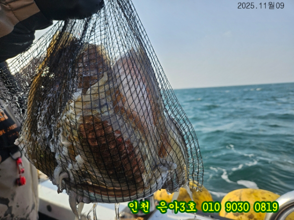 11월09  3호 (33).jpg