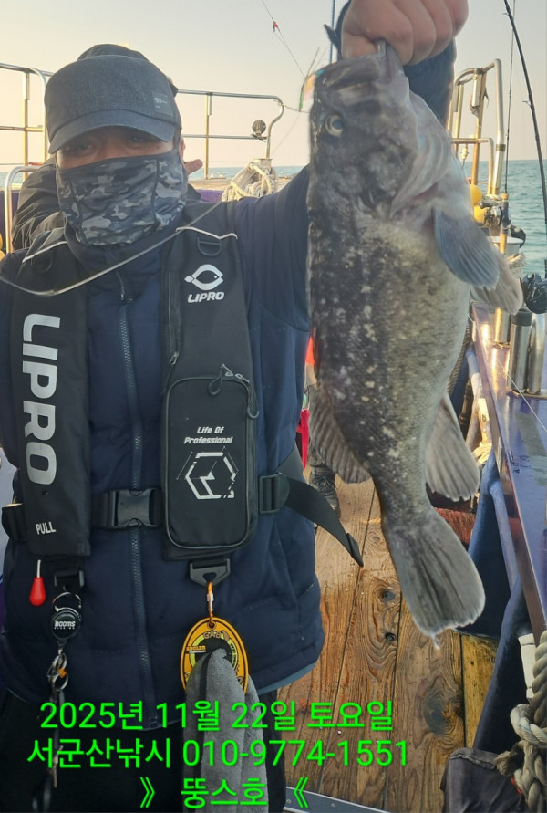 군산 선상낚시, 바다낚시 출조 전문 ☆서군산낚시☆_사진_20251122_8.jpg