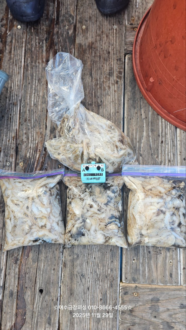 여수금강피싱_사진_20251129_10.jpg