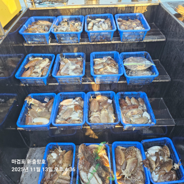 ꫛꫀꪝ✧‧˚ 태안 마검포 新출항호 .• _˚☀₊_사진_20251113_5.jpg