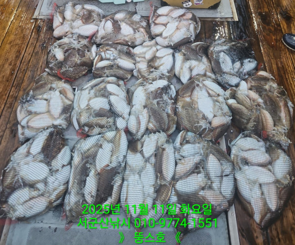 군산 선상낚시, 바다낚시 출조 전문 ☆서군산낚시☆_사진_20251111_3.jpg