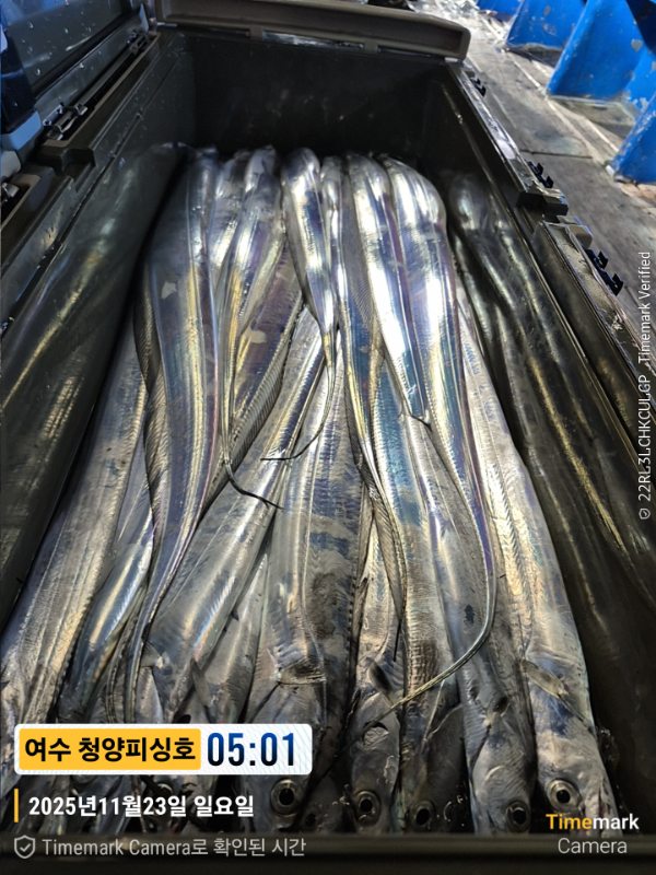 2025-11-23 05.01.20(1)__(제목-여수 청양피싱호).jpg