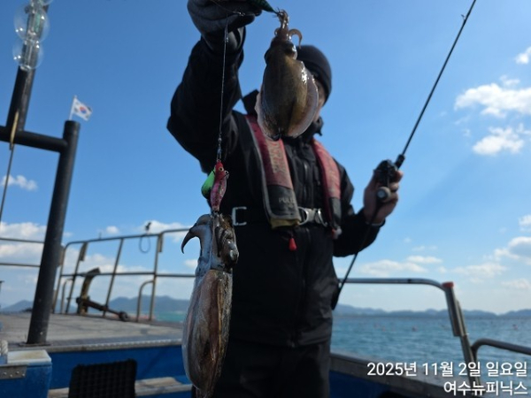 11월2일갑오징어 (6).jpg