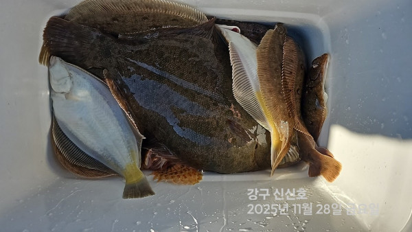 신신낚시 강구점 신신호_사진_20251128_12.jpg