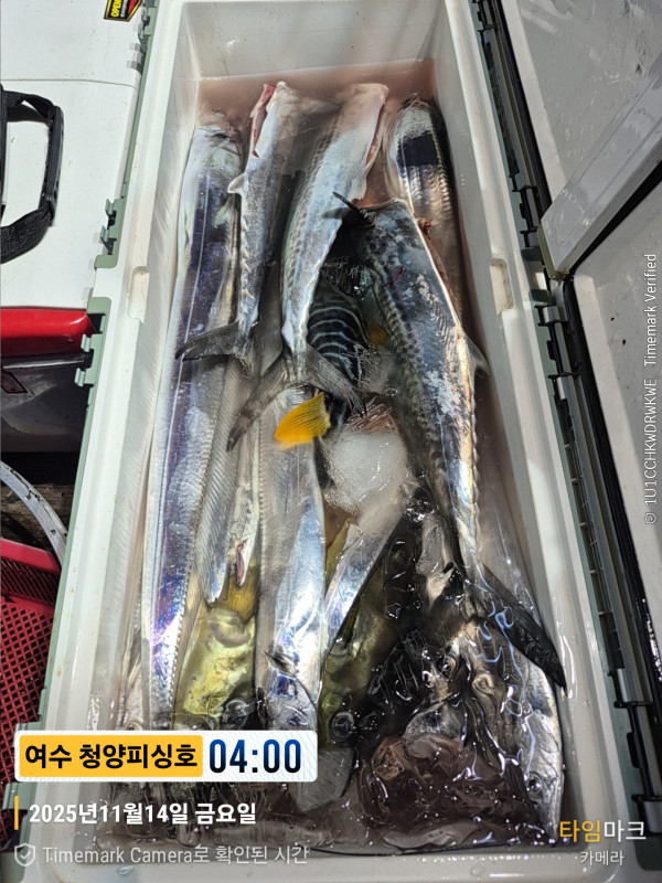 2025-11-14 04.00.56__(제목-여수 청양피싱호).jpg