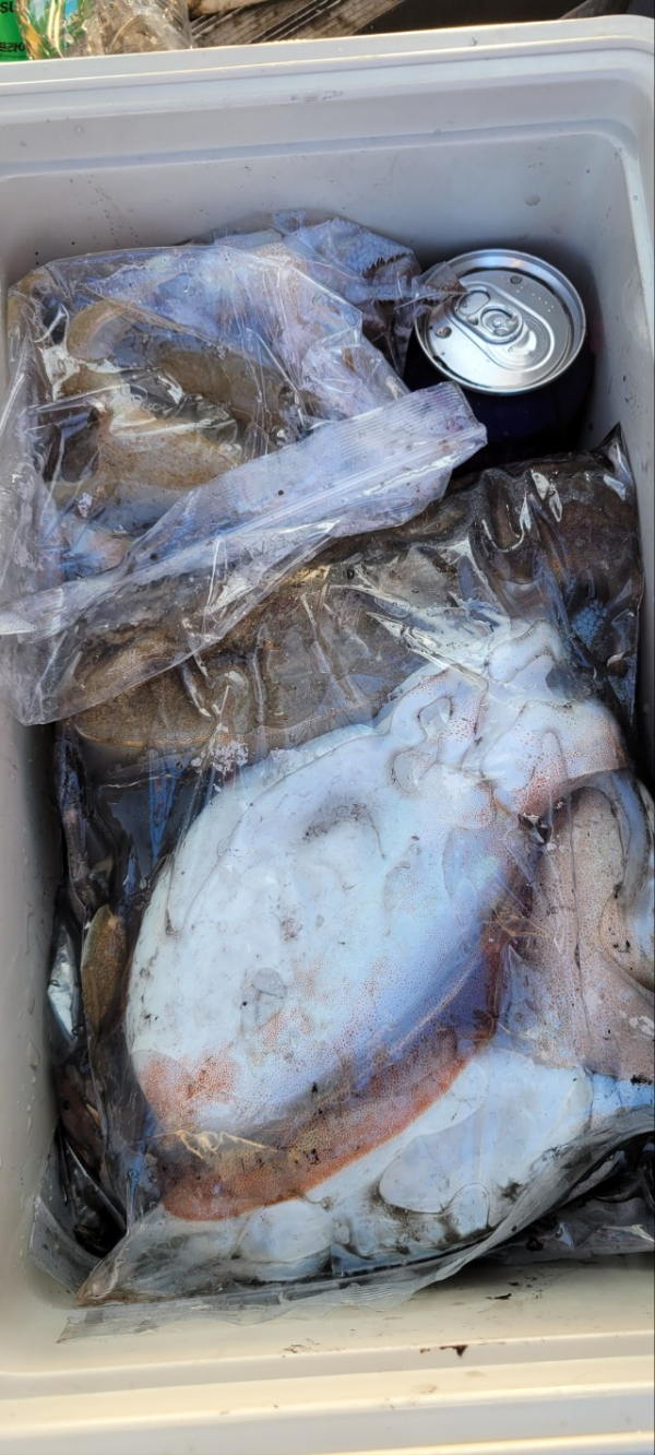 예지퀸호 농어외수질&어초낚시 경기인천권_사진_20251029_12.jpg