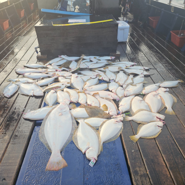 마검포 대한호(VIP)_사진_20251130_4.jpg