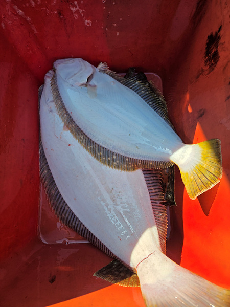 인천바다낚시 (10).jpg