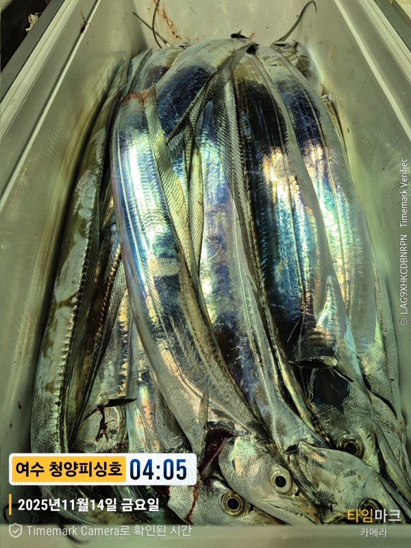 2025-11-14 04.05.37__(제목-여수 청양피싱호).jpg