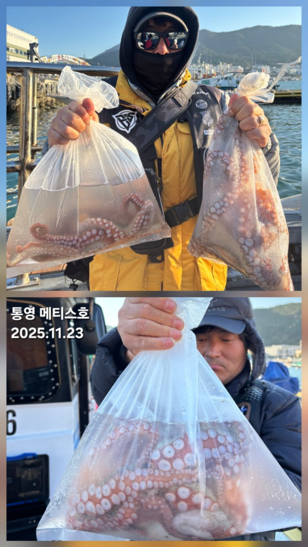통영 메티스호_사진_20251126_14.jpg