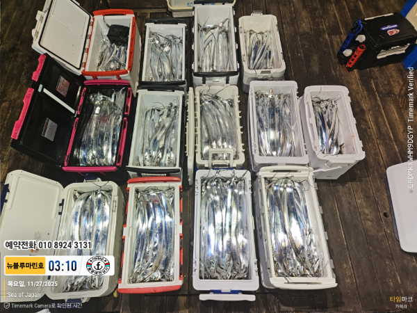 2025-11-27 03.10.34_Japan_(제목-뉴블루마린호)_(예약전화 010 8924 3131).jpg