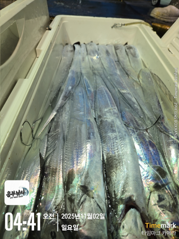 2025-11-02 04.41.09_.jpg