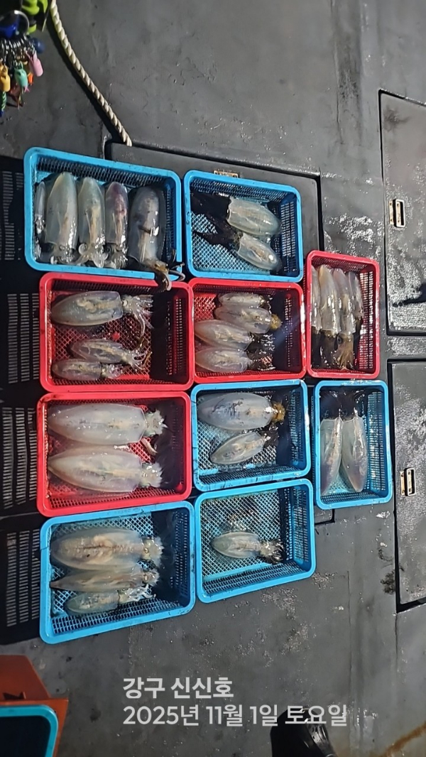 신신낚시 강구점 신신호_사진_20251102_5.jpg