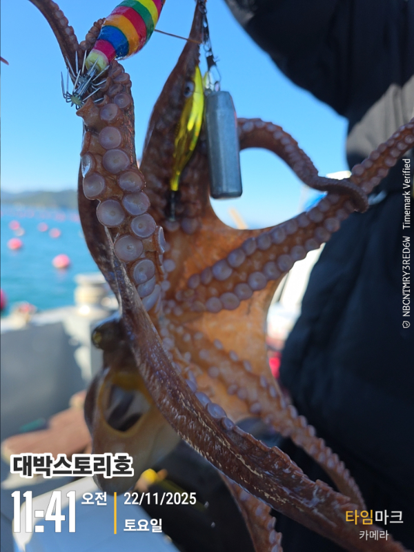2025-11-22 11.41.06__(대박스토리호).jpg