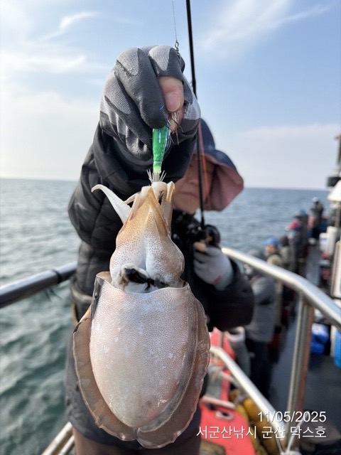 군산 선상낚시, 바다낚시 출조 전문 ☆서군산낚시☆_사진_20251105_14.jpg