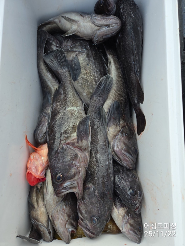 최강피싱 063.463.0800_사진_20251122_54 - 복사본.jpg