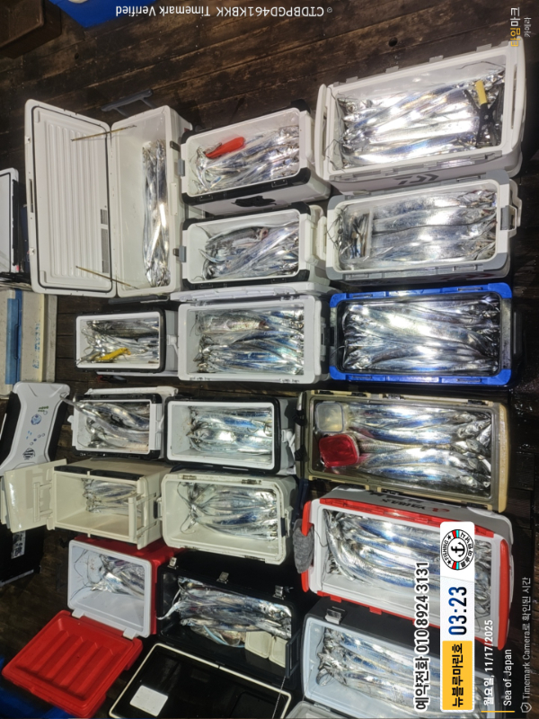 2025-11-17 03.23.30(1)_Japan_(제목-뉴블루마린호)_(예약전화 010 8924 3131).jpg