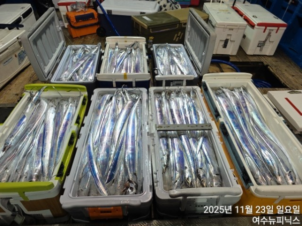 11월23일갈치 (56).jpg