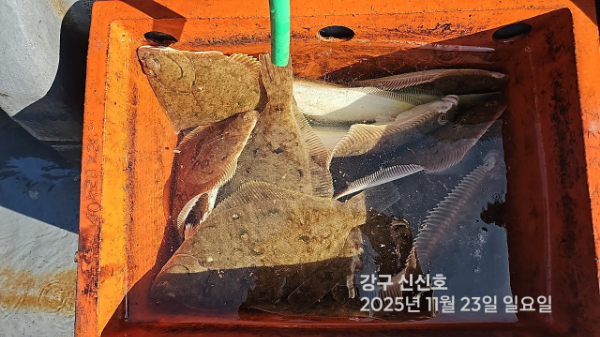 신신낚시 강구점 신신호_사진_20251123_11.jpg