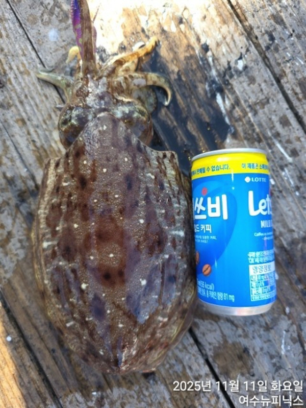 11월11일왕쭈 (1).jpg