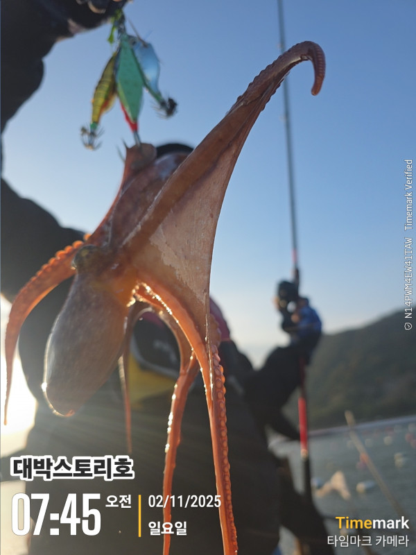 2025-11-02 07.45.30__(대박스토리호).jpg