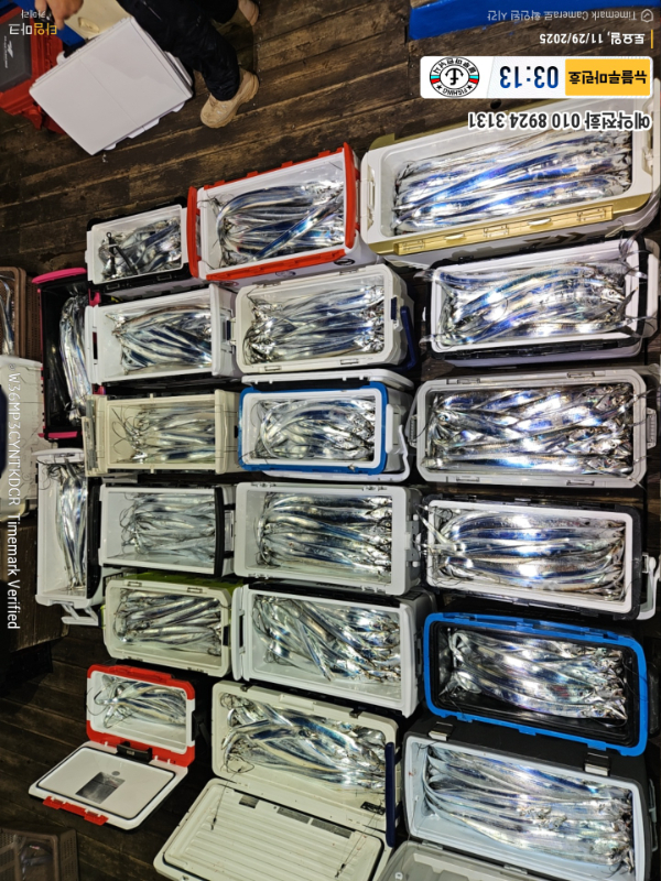 2025-11-29 03.13.25__(제목-뉴블루마린호)_(예약전화 010 8924 3131).jpg