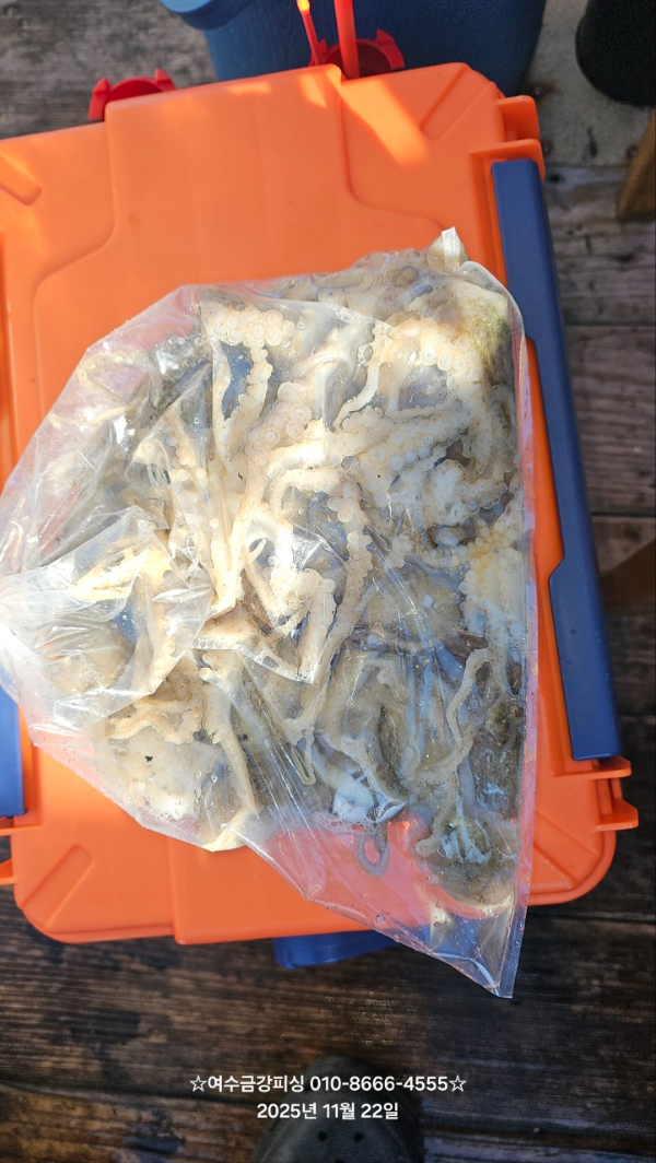 여수금강피싱_사진_20251122_13.jpg