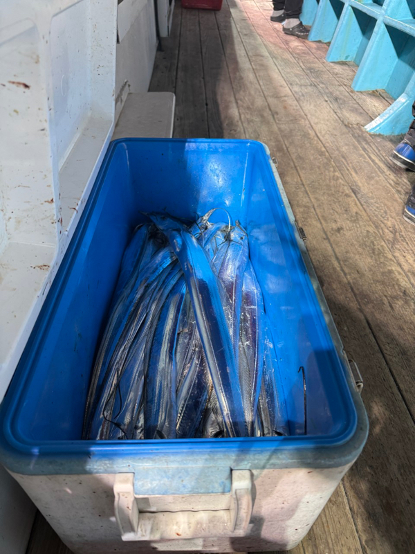 제주 쏘니호_사진_20251112_10.jpg