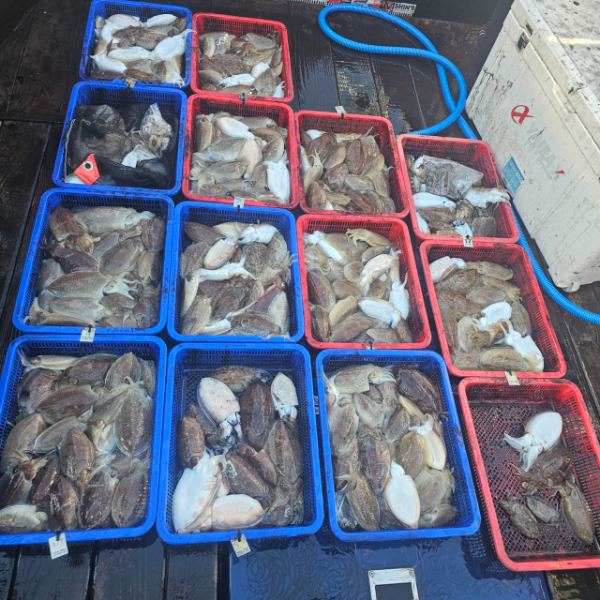 마검포 대한호(VIP)_사진_20251113_4.jpg