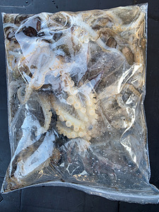 인천쭈꾸미낚시 (7).jpg