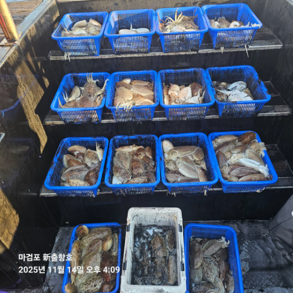 ꫛꫀꪝ✧‧˚ 태안 마검포 新출항호 .• _˚☀₊_사진_20251115_1.jpg