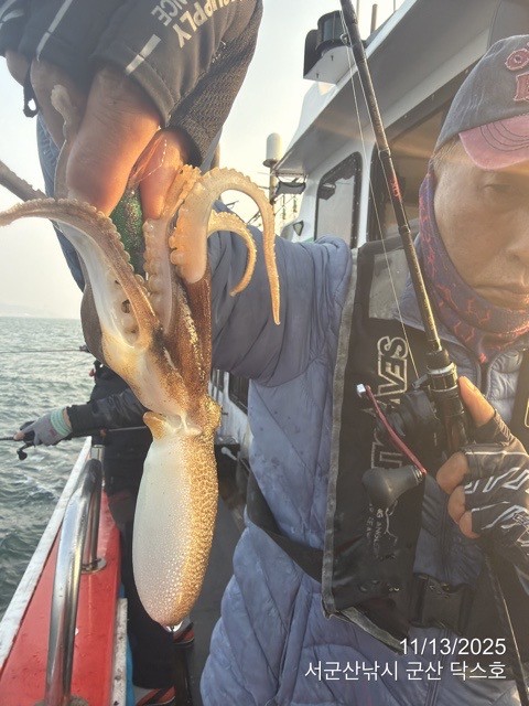 군산 선상낚시, 바다낚시 출조 전문 ☆서군산낚시☆_사진_20251113_18.jpg