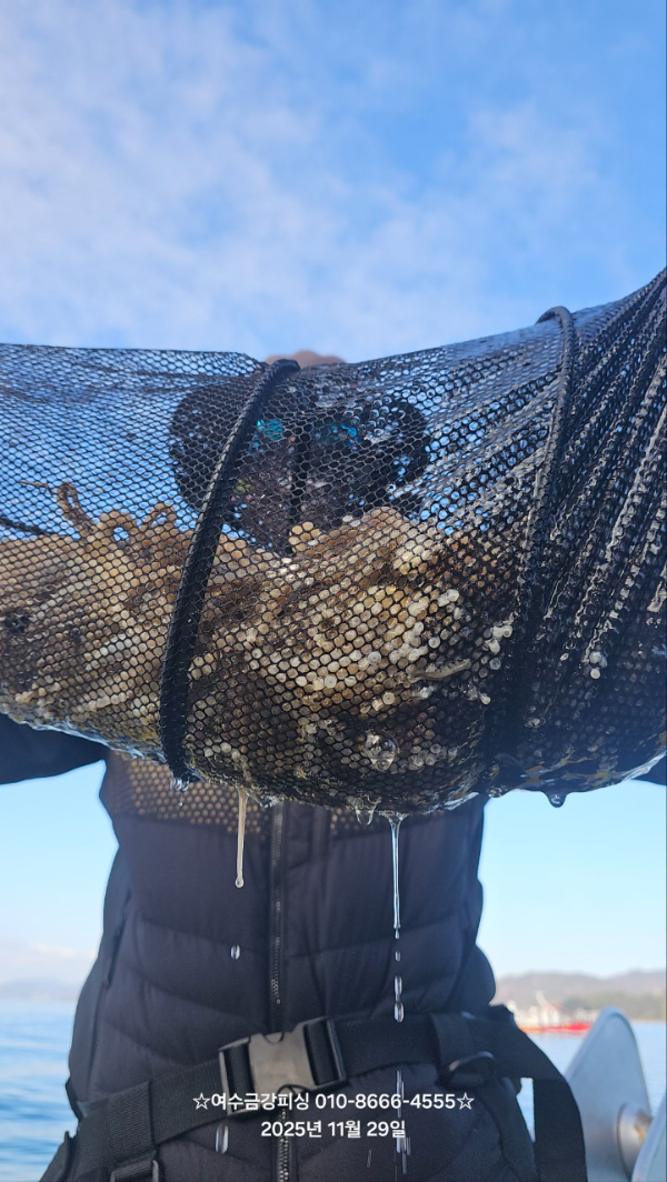 여수금강피싱_사진_20251129_5.jpg