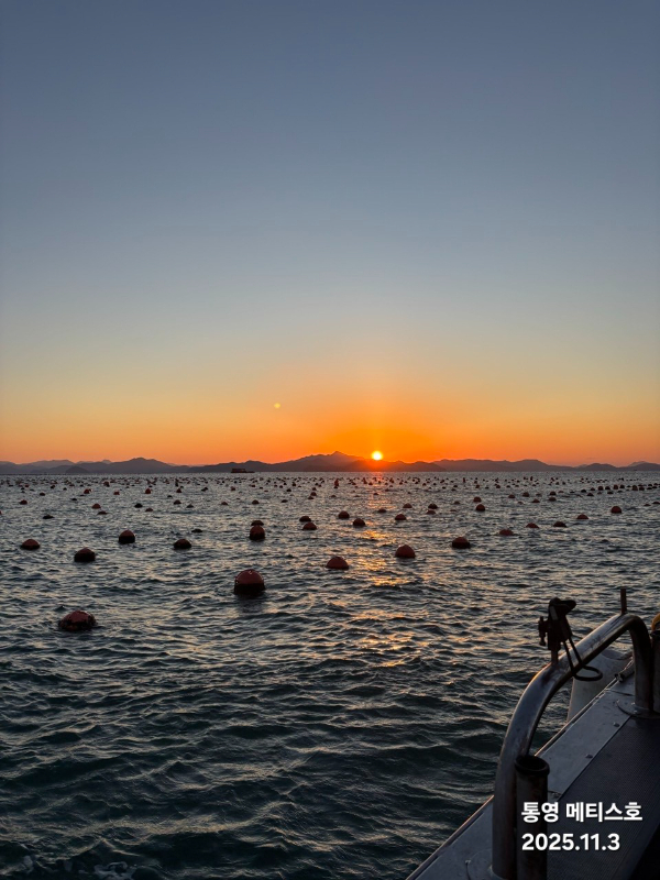 통영 메티스호_사진_20251104_1.jpg