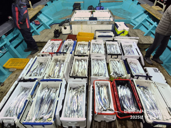 바다꾼낚시(신아라호)_사진_20251114_8.jpg