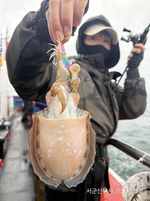 군산 선상낚시, 바다낚시 출조 전문 ☆서군산낚시☆_사진_20251108_17.jpg