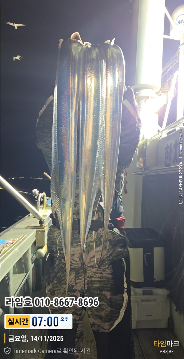 2025-11-14 07.00.27__(제목-실시간)_(라임호 010-8667-8696).jpg