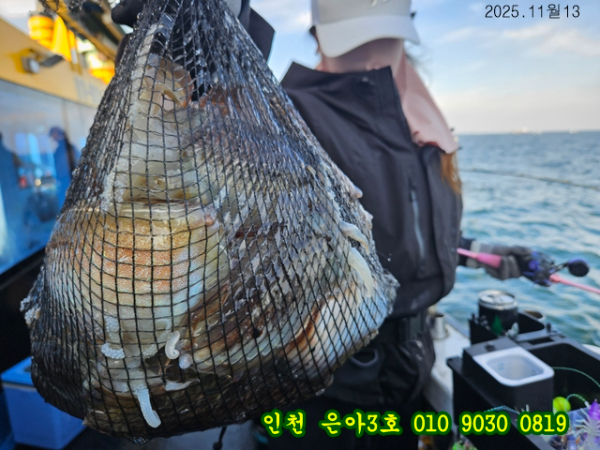 11월13 3호 (13).jpg