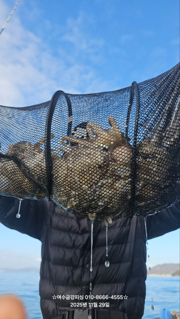 여수금강피싱_사진_20251129_2.jpg