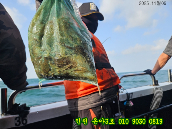 11월09  3호 (36).jpg