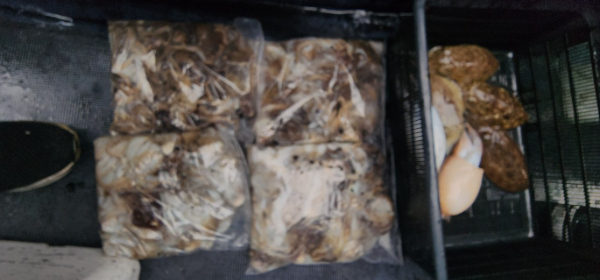 예지퀸호 농어외수질&어초낚시 경기인천권_사진_20251031_16.jpg